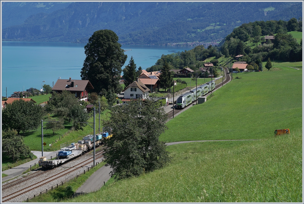The BLS MUTZ RABe 515 006 by Faulensee on the way to Interlaken Ost.

19.08.2020