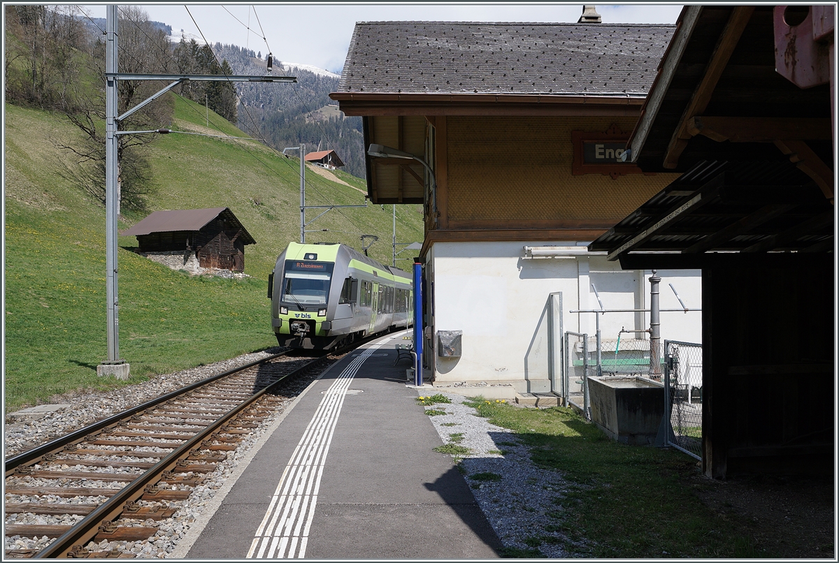 The BLS RABe 535 113  Lötschbergerin  on the way from Bern to Zweisimmen is arriving at Enge im Simmental. 

14.04.2021