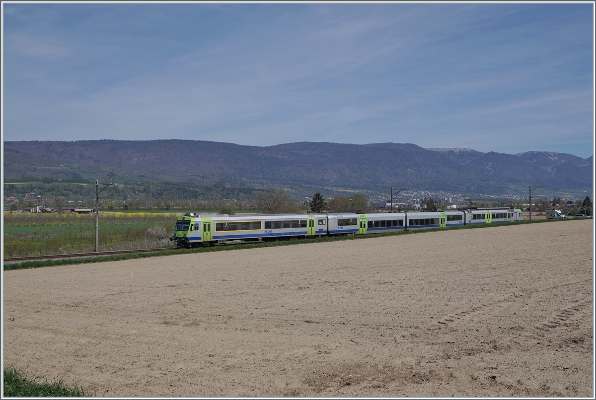 The BLS RBDe 565 739 with his local train from Lyss to Büren an der Aare near Dotzigen. 
16.04.2022