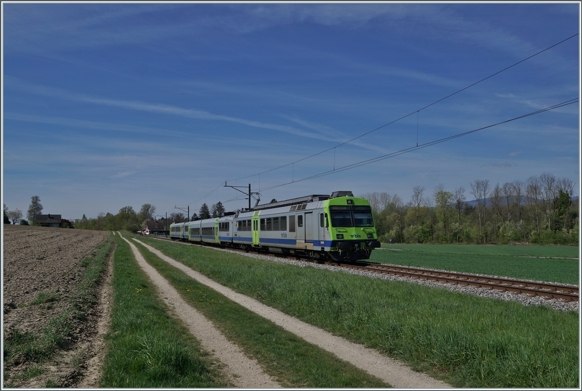 The BLS RBDe 565 739 with his local train from Lyss to Büren an der Aare near Dotzigen. 

16.04.2022