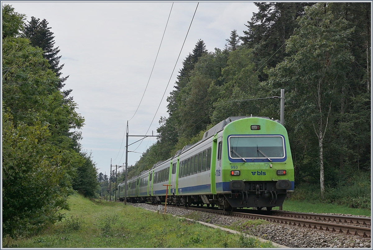 The BLS Re 465 005 with his EW III RE on the way form La Chaux de Fond to Bern near Les Hausts Geneveys.

03.09.2020