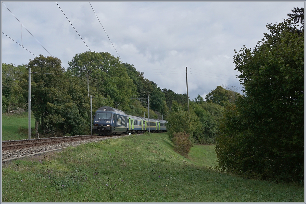 The BLS Re 465 006 wiht his RE to Bern by Geneveys sur Coffranes. 

03.09.2020
