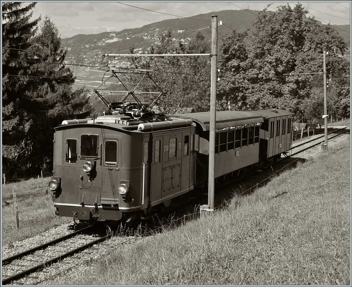 The BOB HGe 3/3 N° 29 near Chaulin. 13.09.2014