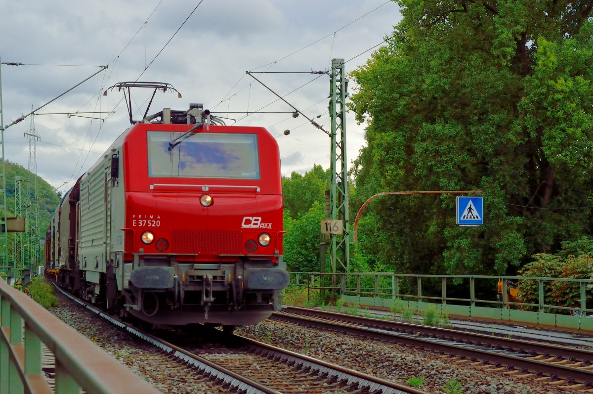 The CB Rail Prima 37 520 with an steeltrain northwards down the river rhein near Leubsdorf. 14 of septembre 2013