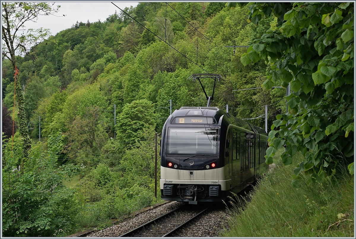 The CEV MVR ABeh 2/5 7504 in the wood by Sonzier on the way to Montreux. 

02.05.2020