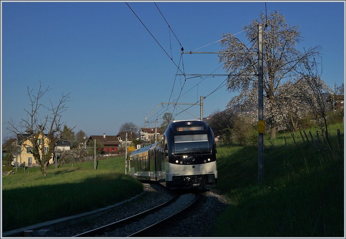 The CEV MVR ABeh 2/6 7505 near St-Légier Gare. 03.04.2017