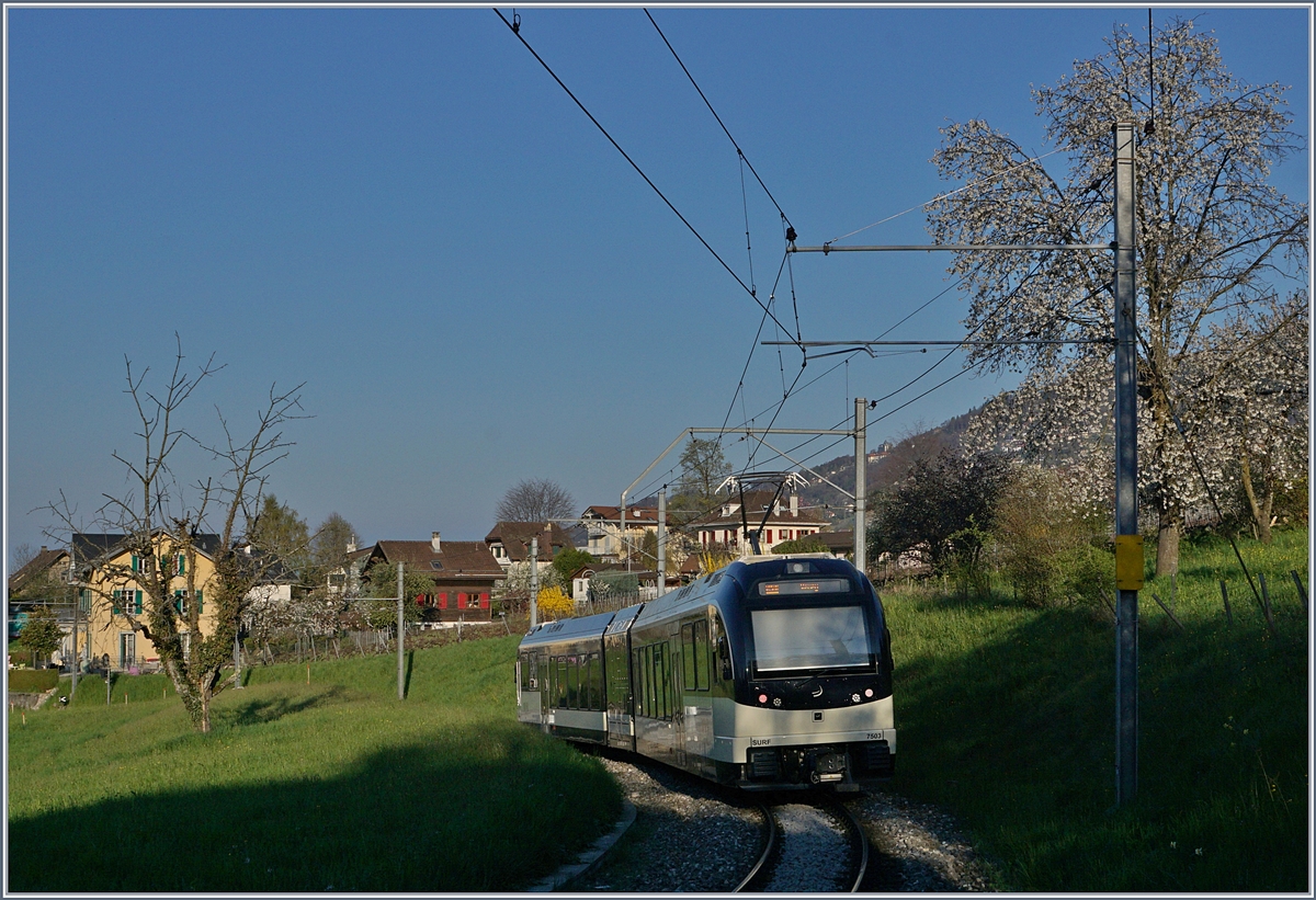 The CEV MVR ABeh 2/6 7503 near St-Légier Gare.
03.04.2017
