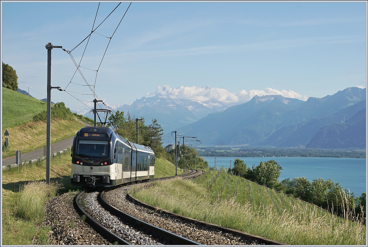 The CEV MVR ABeh 2/6 7504  VEVEY  on the way to Montreux near Planchamp. 

25.05.2020