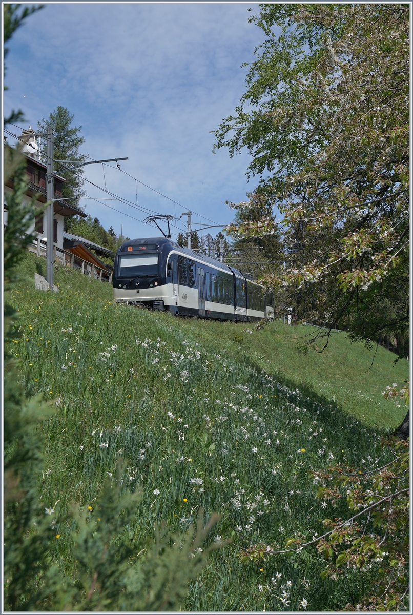 The CEV MVR ABeh 2/6 7502  Blonay  is waiting his departure to Vevey on the Lally Station. 

08.05.2020