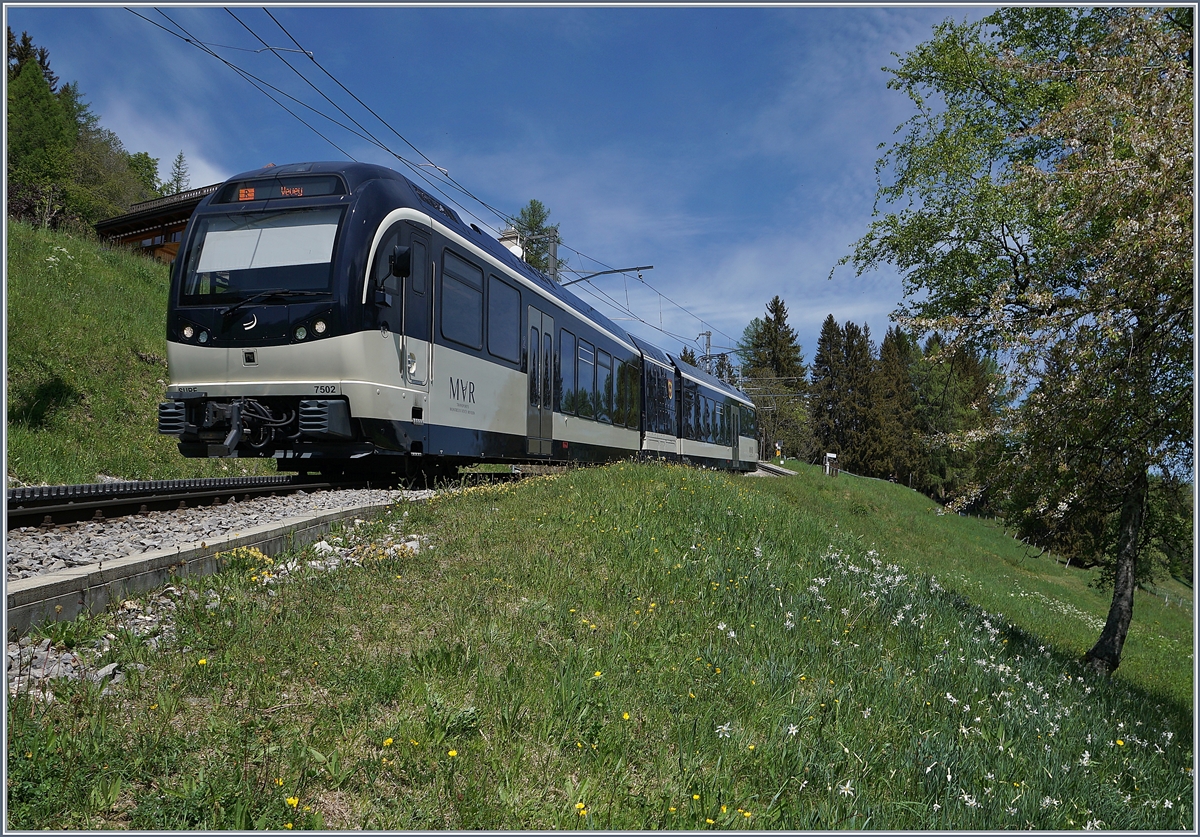 The CEV MVR ABeh 2/6 7502 on the way to Vevey by Lally. 

08.05.2020