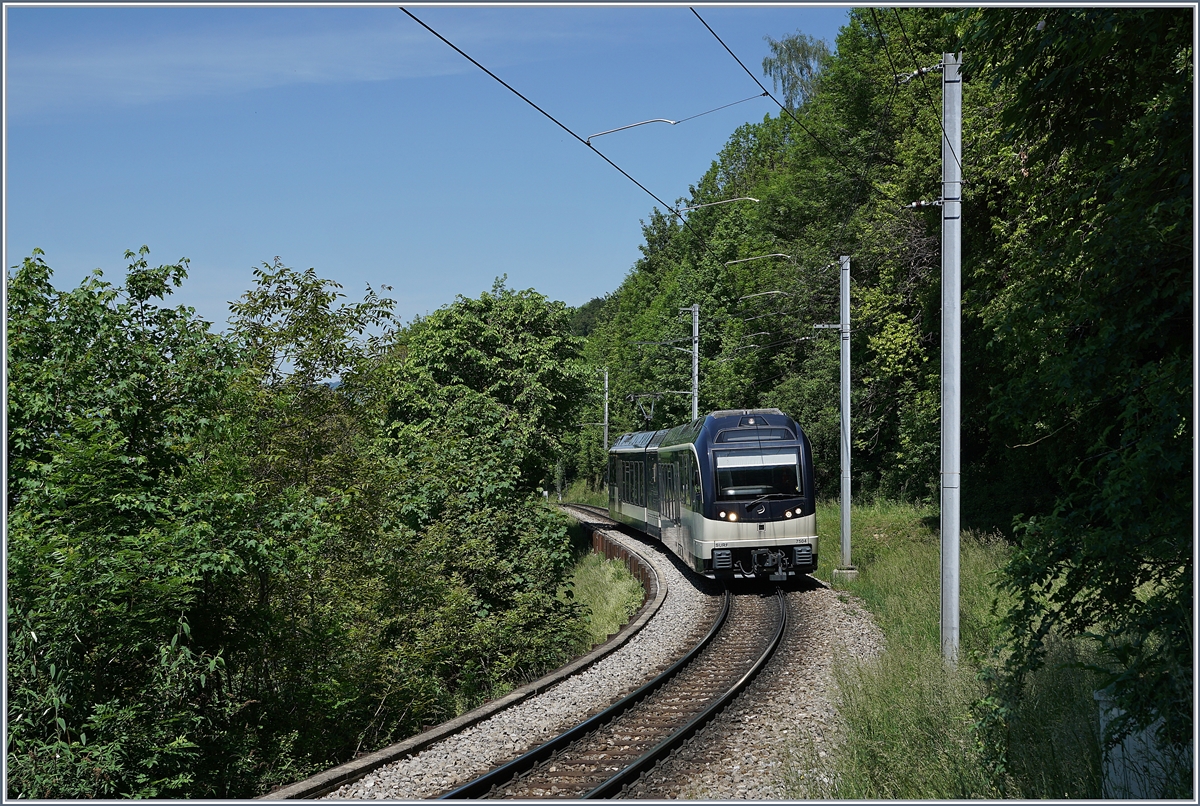 The CEV MVR ABeh 2/6 7504  VEVEY  reaches Sonzier Treminat staton for this service. 
May 9, 2020