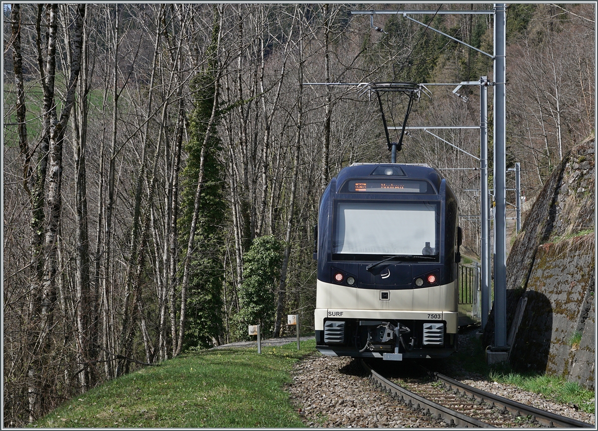 The CEV MVR ABeh 2/6 7503 on the way to Montreux between Les Avants and Sendy-Sollard.

22.03.2024 