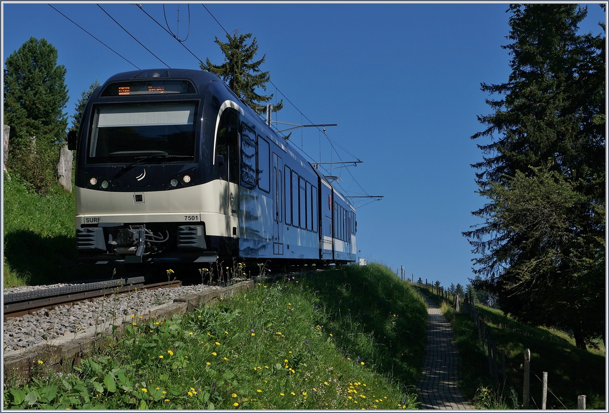 The CEV MVR SURF ABeh 2/6 7501  St Legier La Chiesaz  near the Les Pléiades Station on the way to Vevey. 27.08.2016