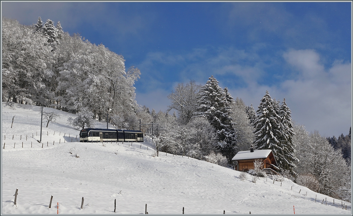 The CEV MVR SURF ABeh 2/6 7505 near Fayaux on the way from the Les Pléiades to Vevey.

18.01.2021