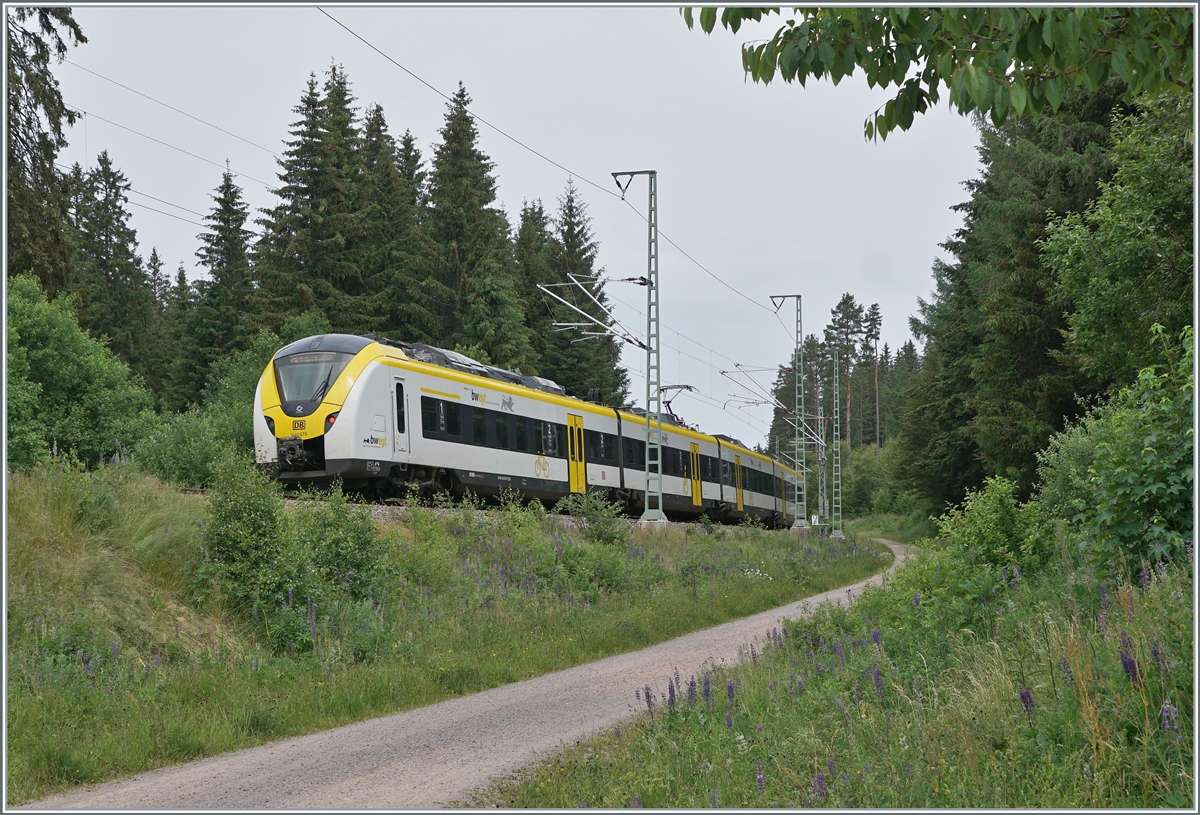The DB 1440 176/676 (Alstom Coradia Continental) is by Aha in the Black Forest on the way to Freiburg im Breisgau. 

22.06.2023