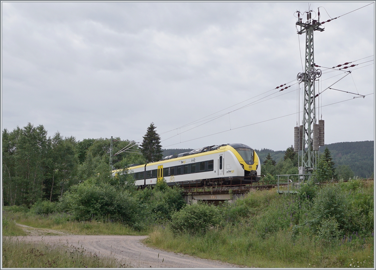 The DB 1440 176/676 (Alstom Coradia Continental) is by Aha in the Black Forest on the way to Freiburg im Breisgau. 

22.06.2023