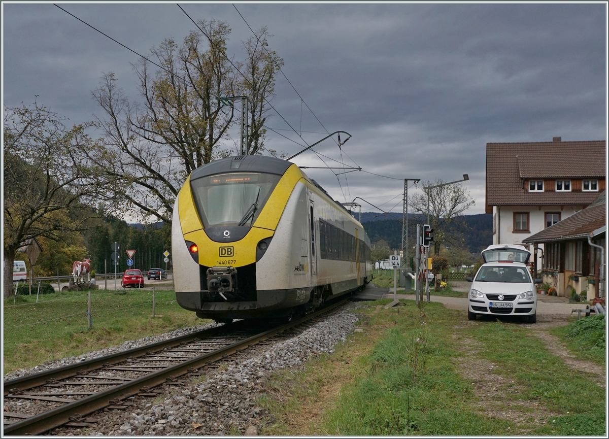 The DB 1440 667 on the way to Freiburg i.B. by Kirchzarten. 

14.11.2022 