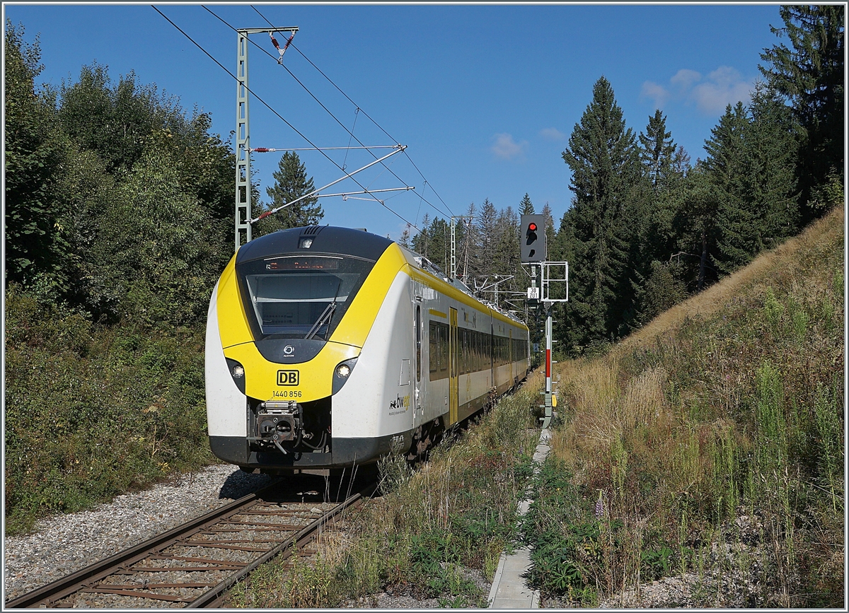 The DB 1440 856 from Endingen (Baden) to Seebrugg is shortly arring at Altgashütten-Falkau. 

12.09.2021