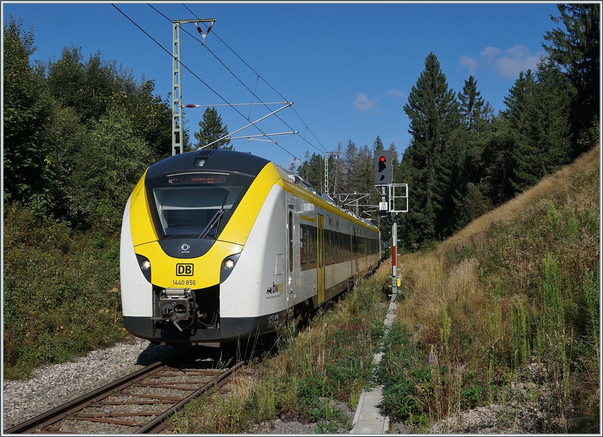 The DB 1440 856 from Endingen (Baden) to Seebrugg is arring at Altglashütten-Falkau. 

12.09.2021