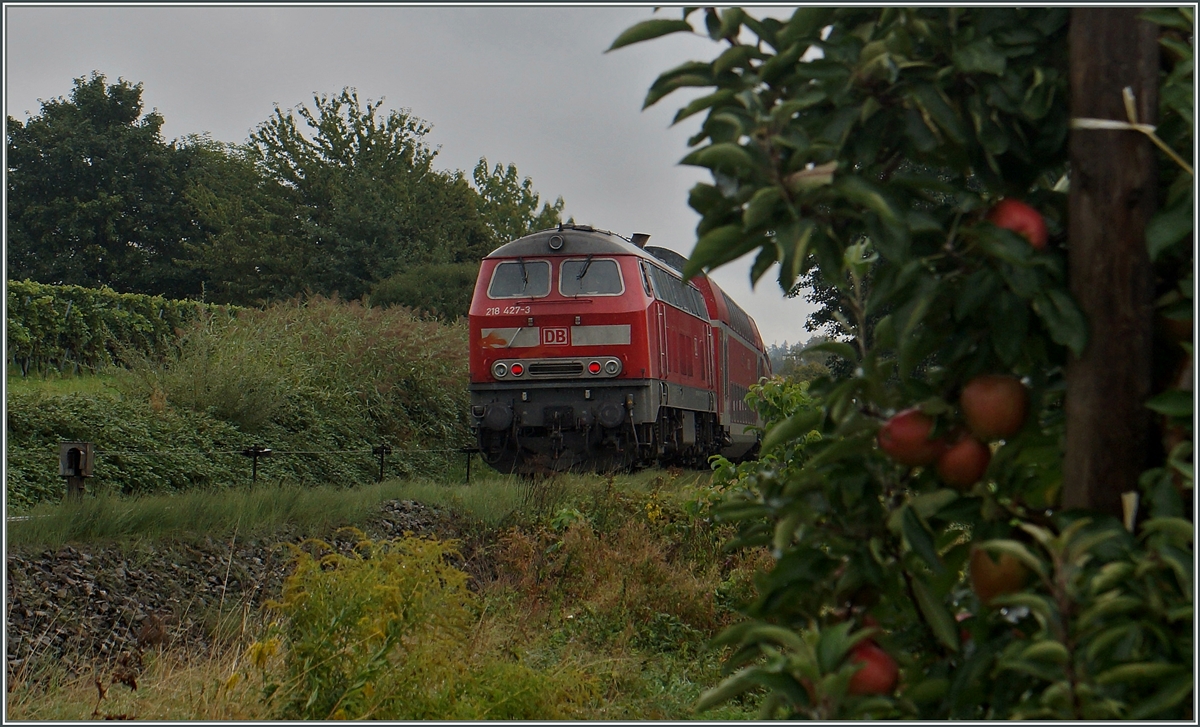 The DB 218 427-3 with an IRE from Stuttgart to Lindau near Kressbronn.
18.09.2015