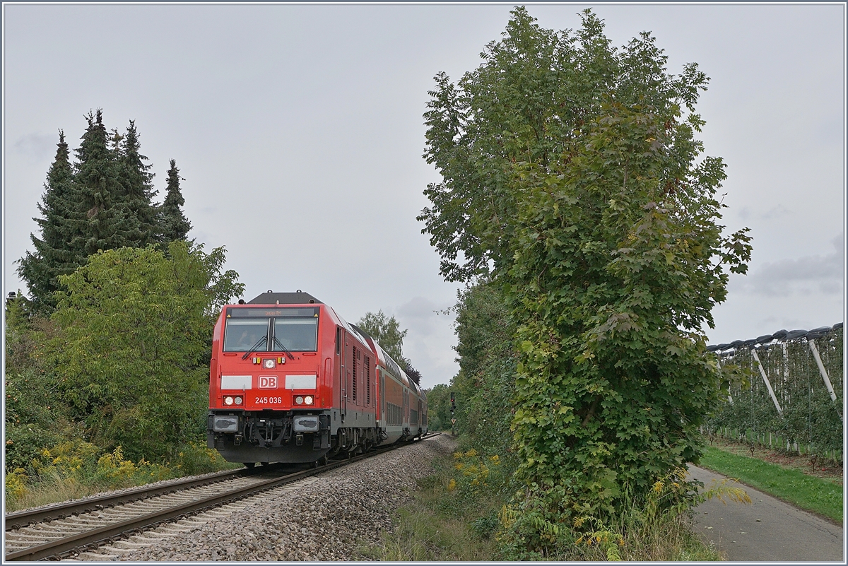 The DB 245 036 with an RE to Lindau by Kressbronn. 

22.09.2018
