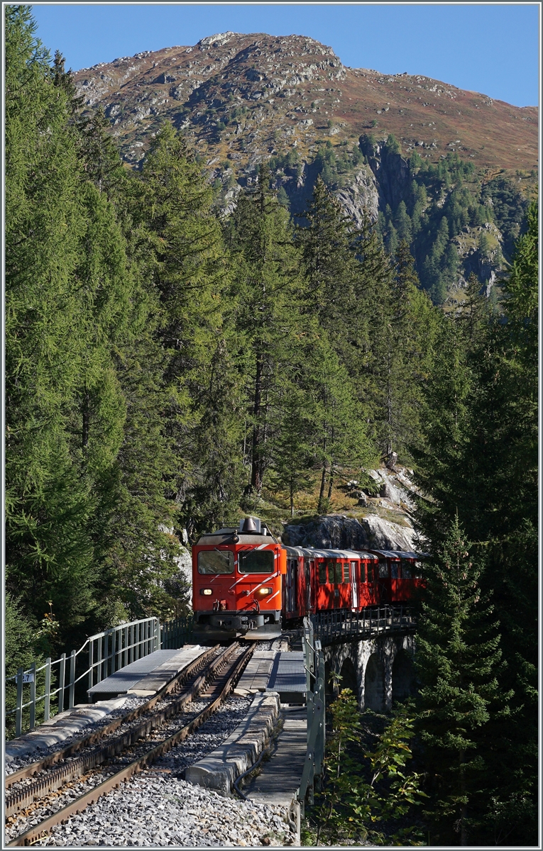 The DFB HGm 4/4 61 on the way from Oberwald to Gletsch, here near Oberwald in the wood. 

30.09.2021