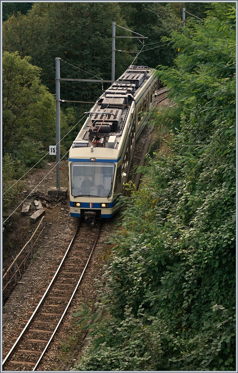 The FART/SSIF Fast-Train Locarno -Domodossoal D32 near Trontano.
07.10.2016