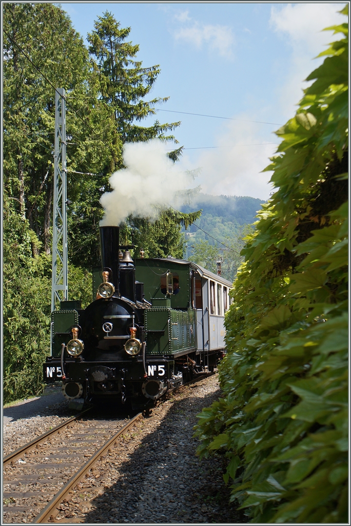 The G 3/3 N° 5 in Chaulin.
25.05.2015