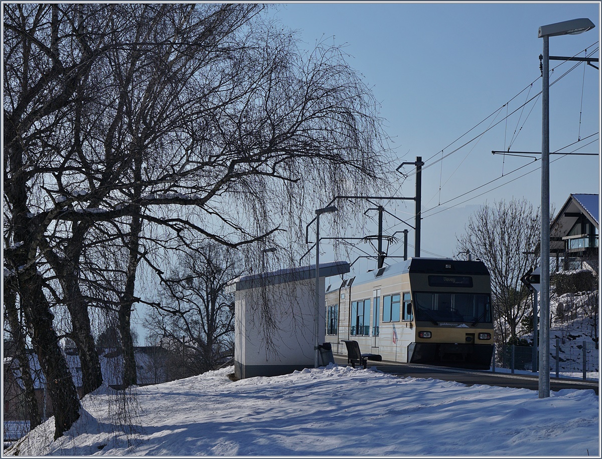 The GoldenPass CEV GTW Be 2/6 by his stop in Château d'Hauteville. 
18.01.2017