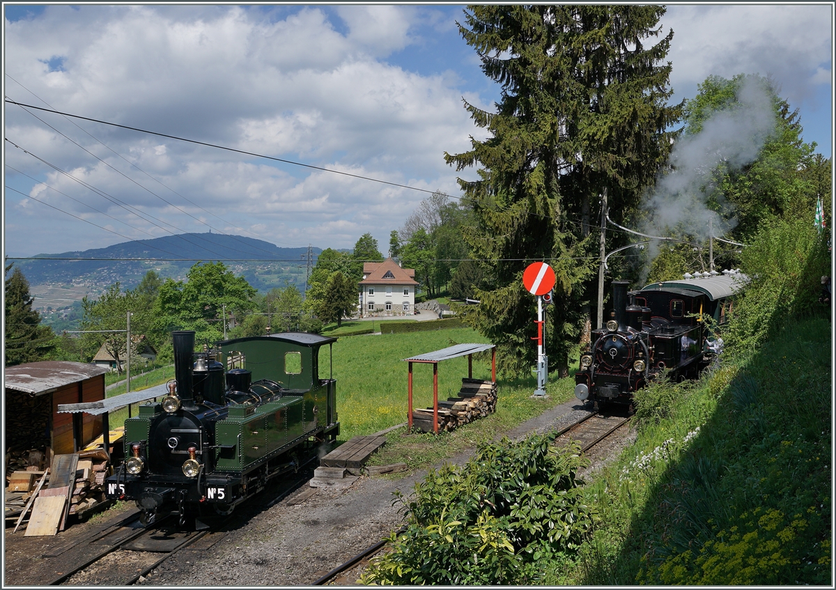 The LEB G 3/3 N° 5 and the BAM G 3/3N° 6 in Chaulin.
15.05.2016