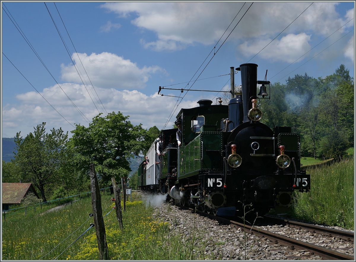 The LEB G 3/3 N° 5 (and the BAM G 3/3 N°6) near Chaulin.
15.05.2016