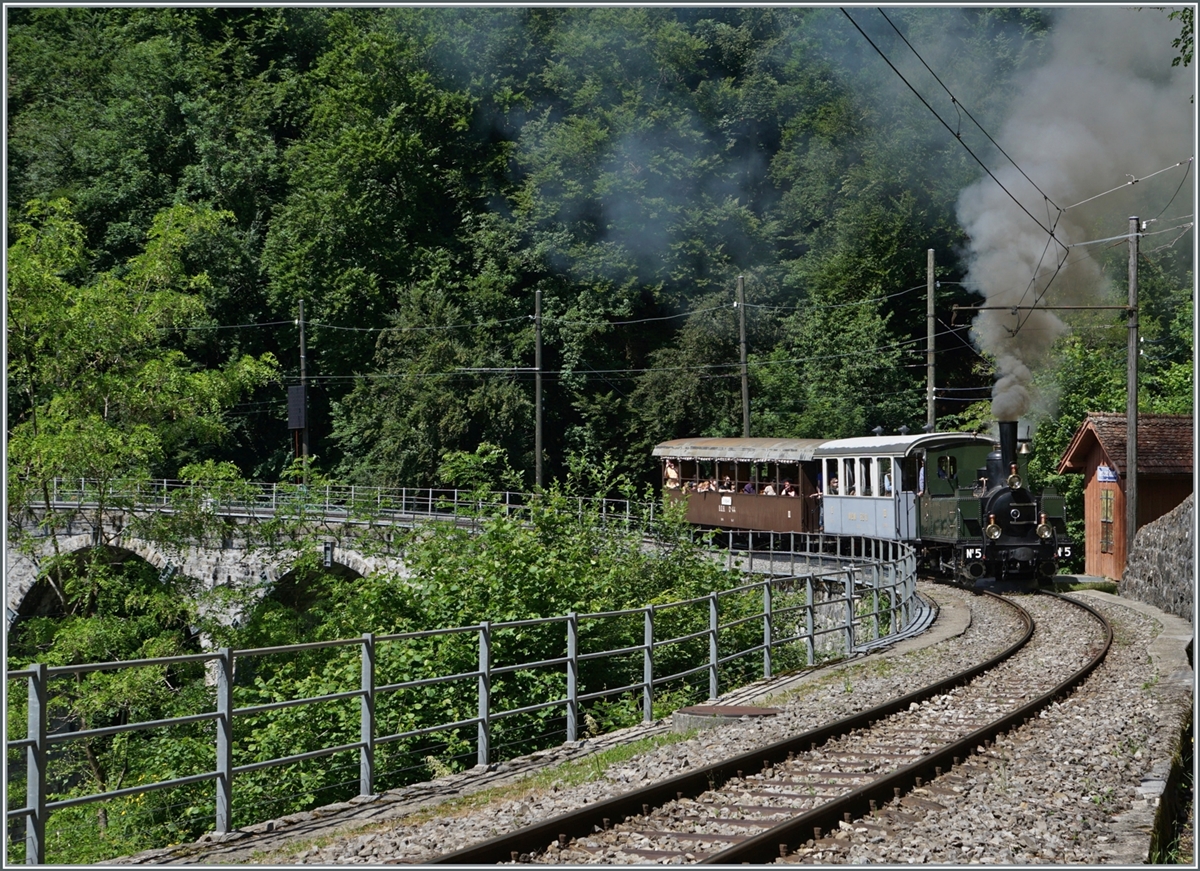 The LEB G 3/3 N° 5 by the Blonay Chamby Railway by Vers Chez Robert on the way to Chamby. 

05.06.2022