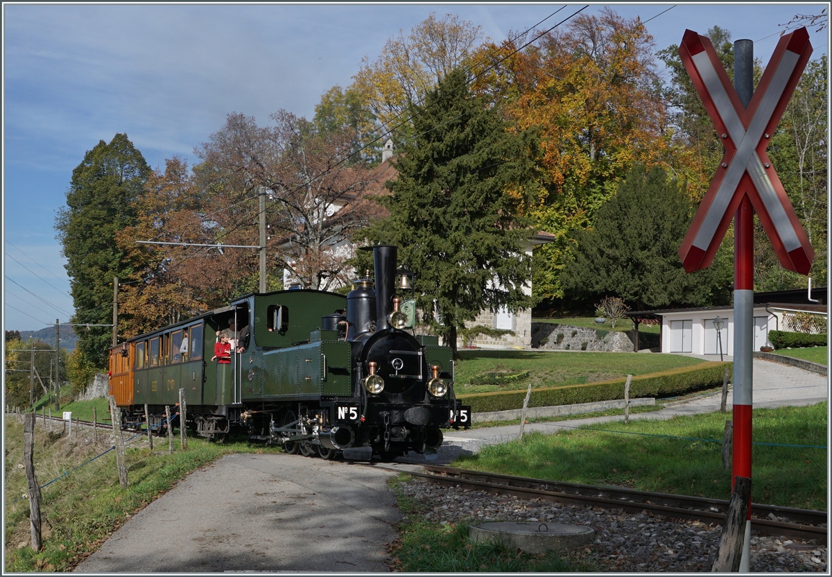 The LEB G 3/3 N° 5 by the Blonay Chamby Railway is by Chaulin on the way to Chamby. 30.10.2022