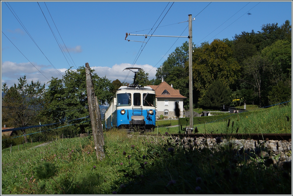The MOB ABDe 8/8  Berne  near Chaulin.
13.09.2014