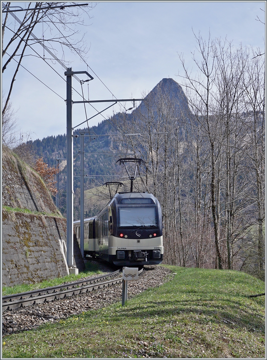 The MOB ABe 4/4 9301  Alpina  wiht a PE 30 by Les Avants on the way to Zweisimmen. 

22.03.2024