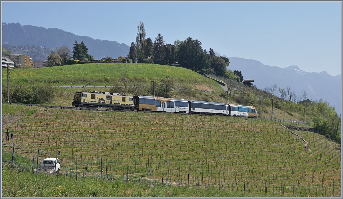 The MOB GDe 4/4 6003 wiht his MOB GoldenPass Panoramic Express near Planchamp.

14.04.2020