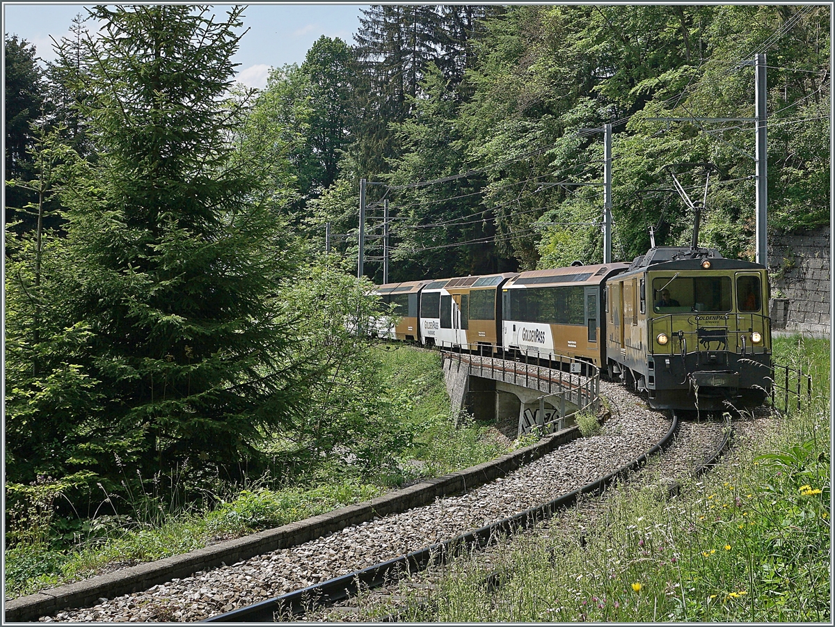 The MOB GDe 4/4 6003 wiht a MOB Panoramic Express from Montreux to Zweisimmen near Sendy Sollard. 

17.05.2020