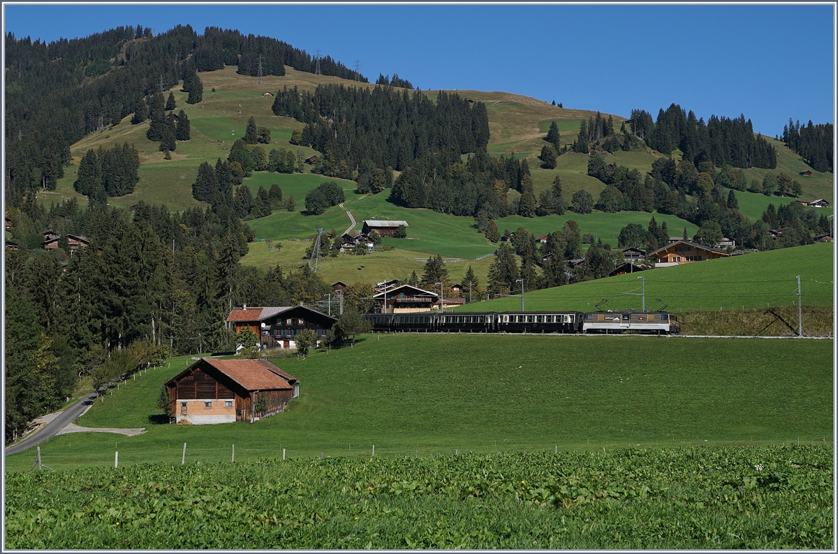 The MOB GDe 4/4 6004 with a GoldenPass Classic near Schönried.
30.09.2016