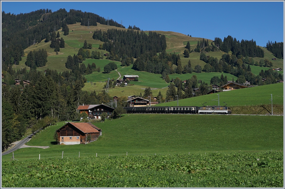 The MOB GDe 4/4 6004 with a GoldenPass Classic near Schönried.
30.09.2016