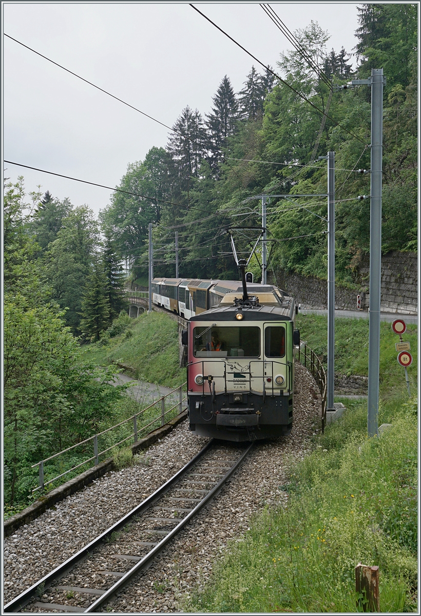 The MOB GDe 4/4 6006 wiht a MOB Golden Pass Panoramic near Sendy-Sollard. 

16.05.2020