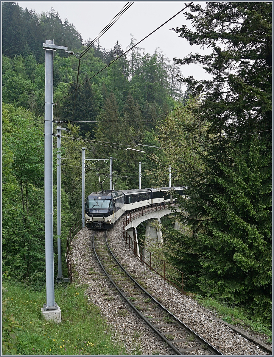 The MOB Ge 4/4 8004 with the  new  MOB Golden Pass Panoramic between Les Avants and Chamby. 

16.05.2020
