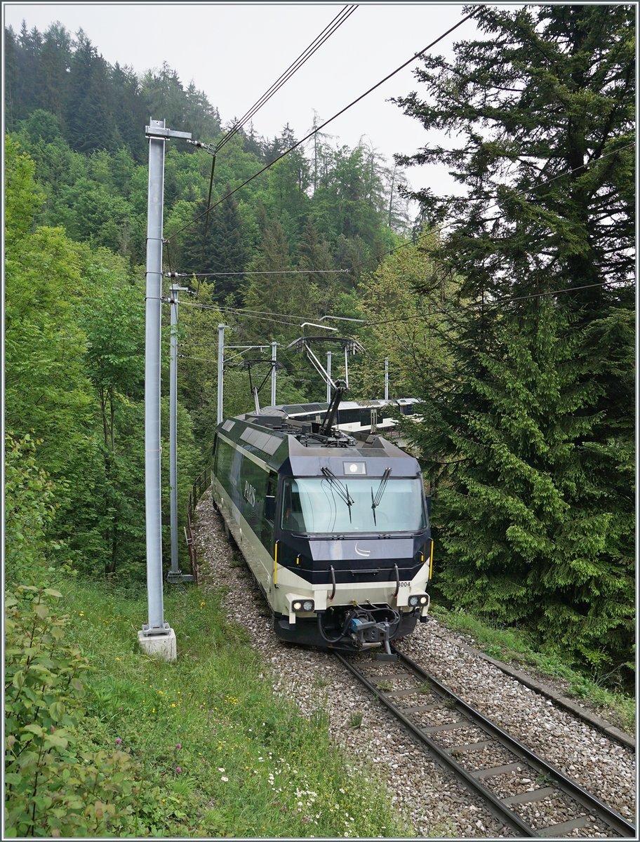 The MOB Ge 4/4 8004 with a MOB Panoramic Express on the way to Montreux on the Bois des Chenaux near Les Avants. 

16.05.2020