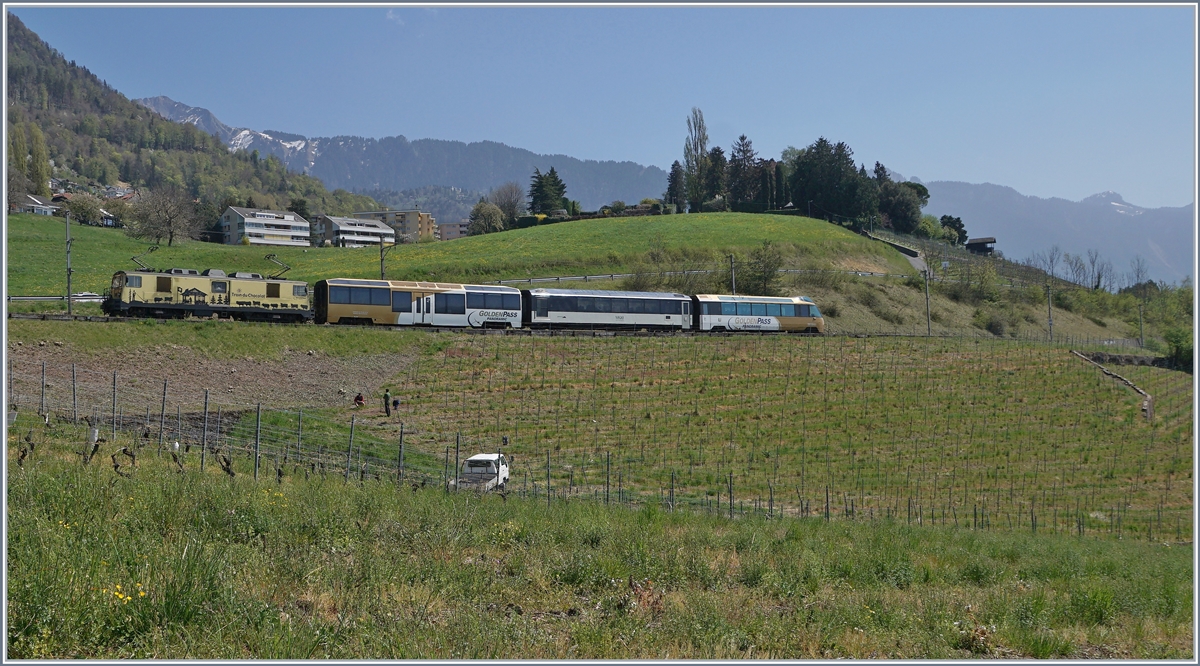 The MOB PE 2115 from Zweisimmen to Montreux by Planchamp. 

14.04.2020