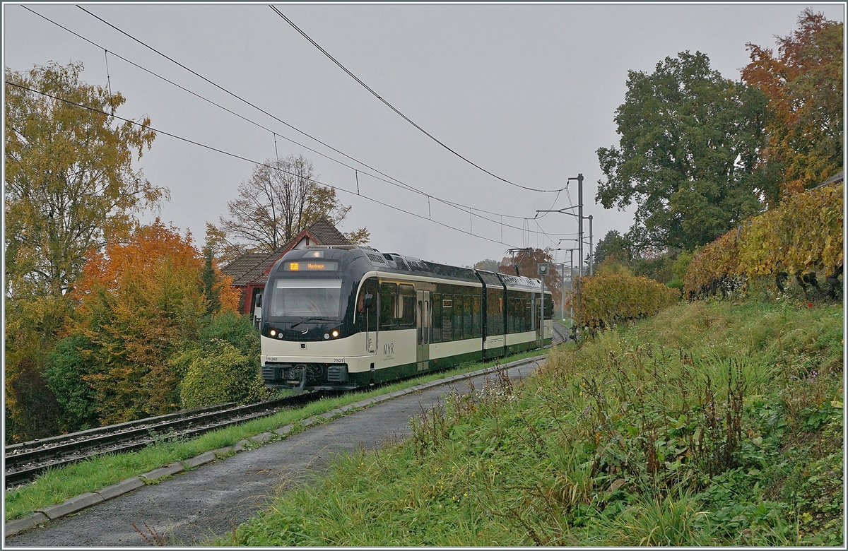 The MVR Abeh 2/6 7501 on the way from Sonzier to Montreux by Planchamp.

23.10.2020