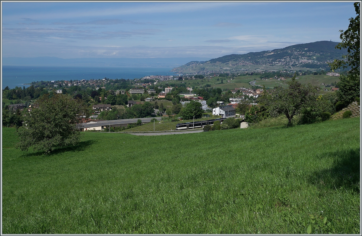 The MVR ABeh 2/6 7504  VEVEY  on the way to Montreux by Planchamp. 

10.05.2020