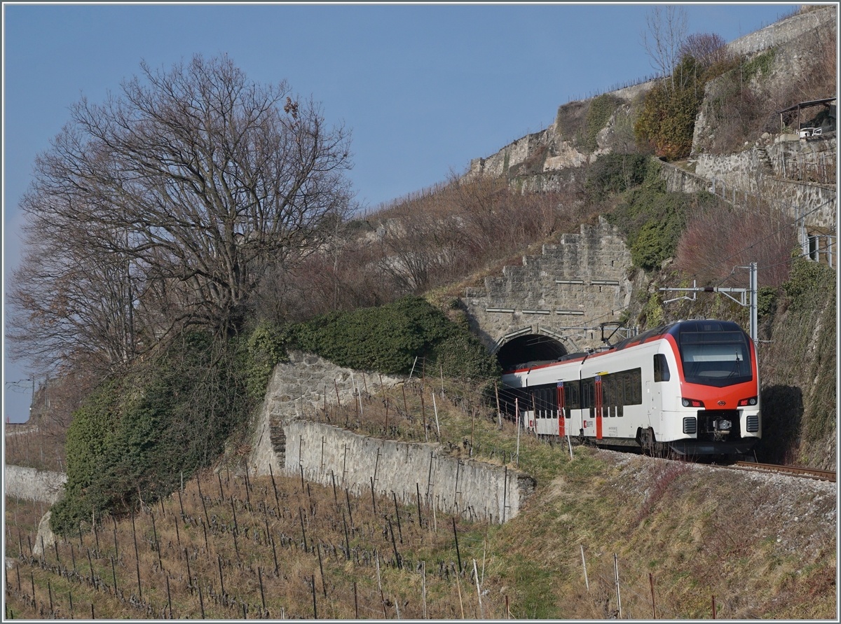 The new Flirt 3 SBB RABe 523 503  Mouette  (RABe 94 85 0 523 503-6 CH-SBB) near Chexbres by the Salanfe tunnel on the way to Puidoux.

11.02.2023