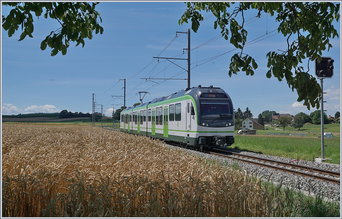 The new LEB Be 4/8 64 by Fey on the way to Bercher. 

25.07.2020