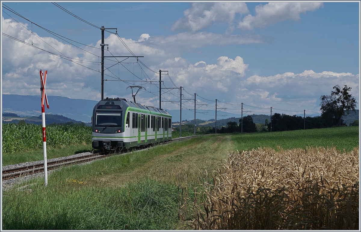 The new LEB Be 4/8 64 by Fey on the way to Bercher. 

25.07.2020