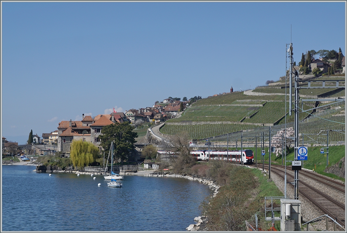 The new SBB Flirt 3 SBB Flirt 3 RABe 523 109 und 107 on the way to Vallorbe by Rivaz. 

01.04.2021