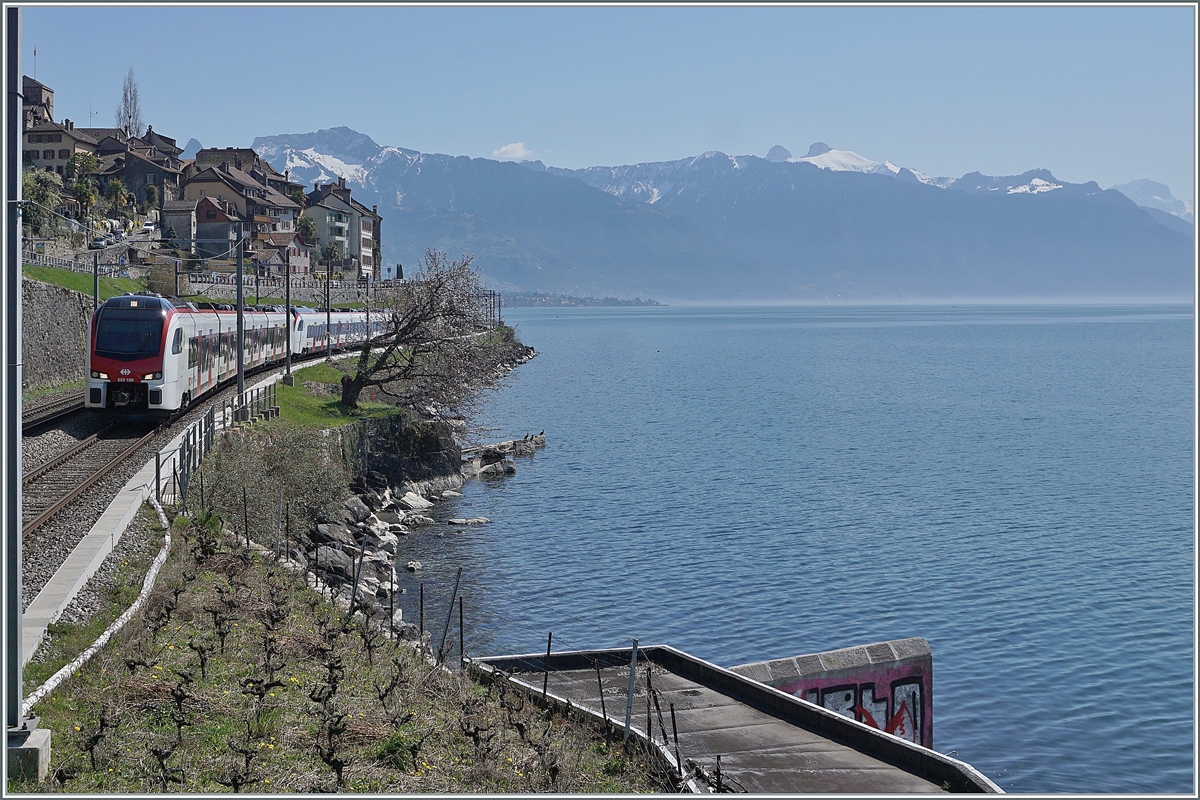 The new SBB Flirt 3 SBB Flirt 3 RABe 523 109 und 107 on the way to Vallorbe between st Saphorin and Rivaz. 

01.04.2021

